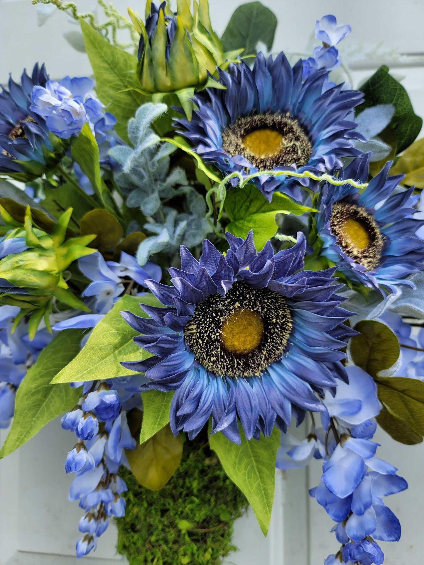 Blue Sunflower